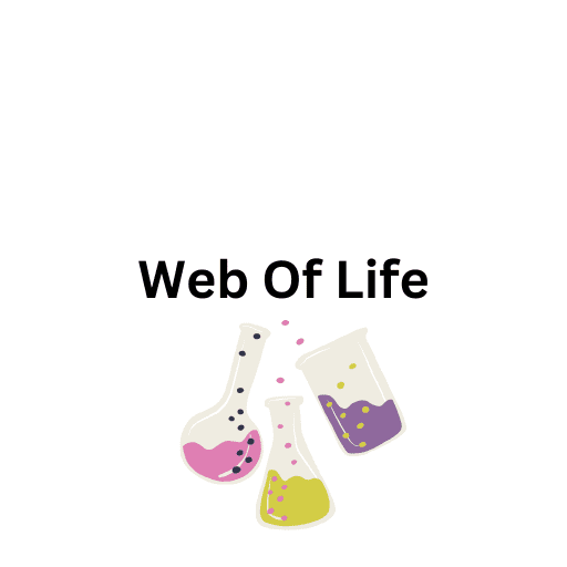 Web Of Life